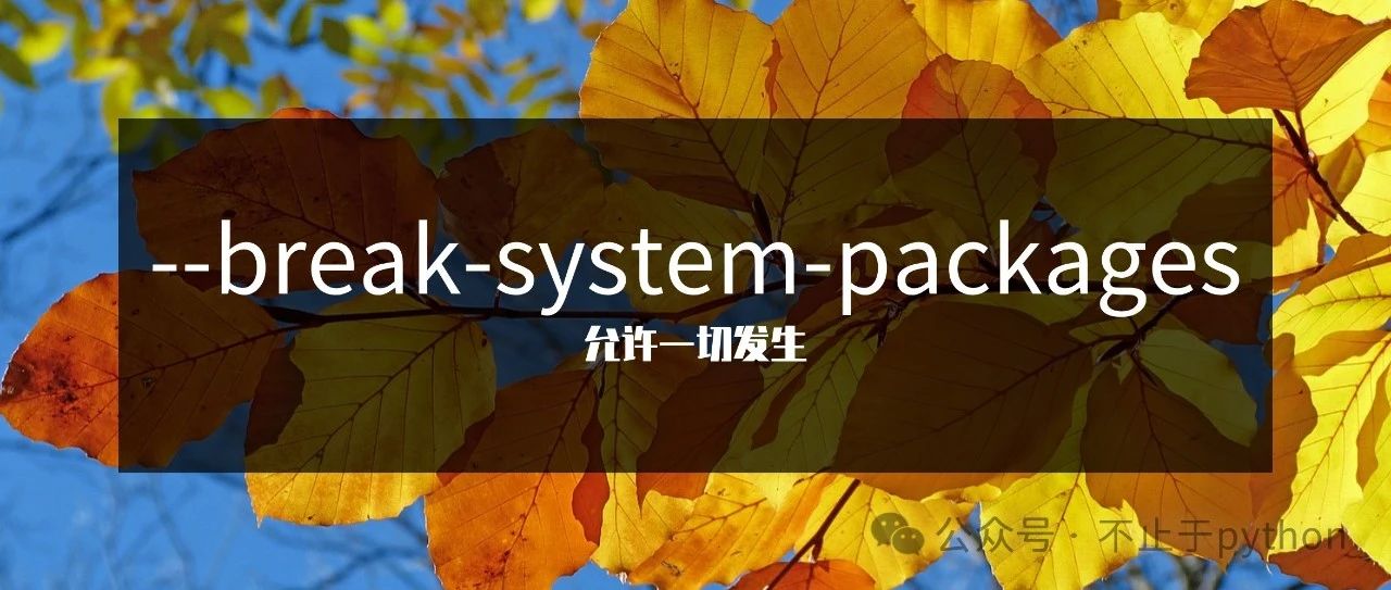 如何优雅解决 Ubuntu 下的 --break-system-packages 警告