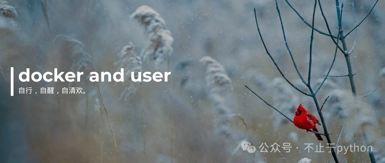 给Docker添加其他用户操作权限并修改Docker容器日志文件大小配置