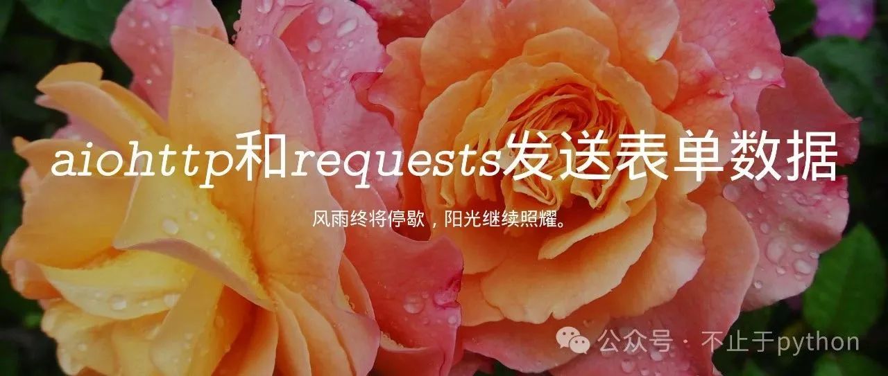 使用aiohttp和requests发送表单数据，携带文件和字段