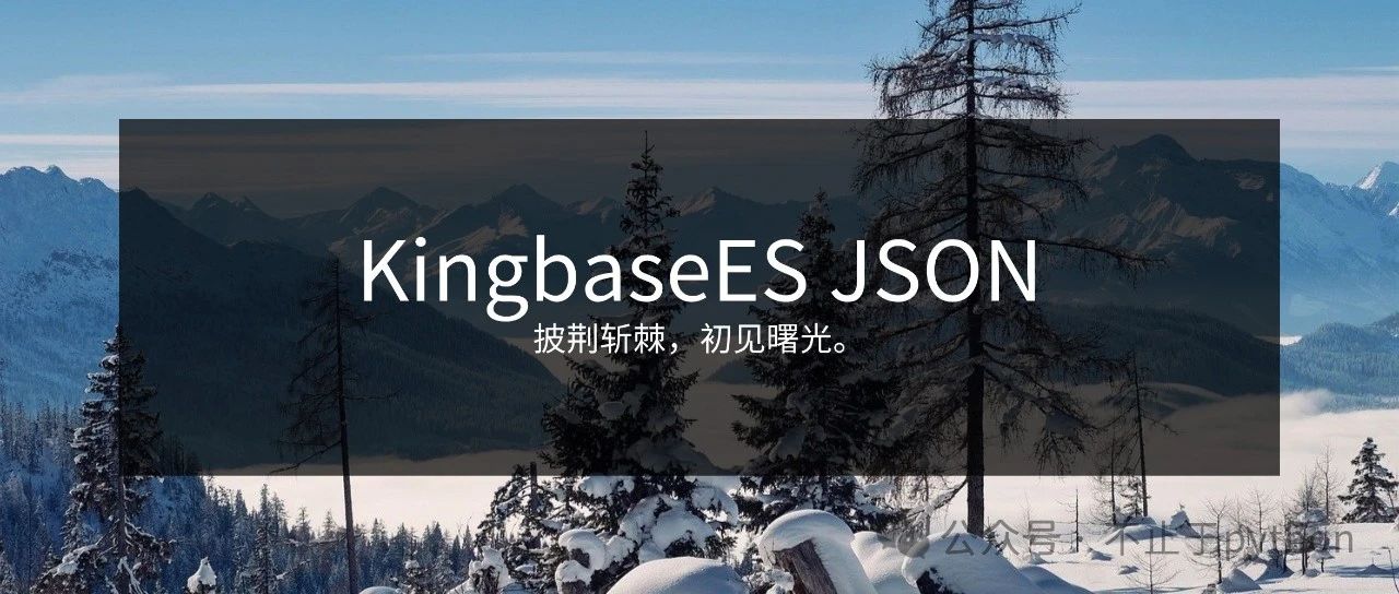 人大金仓数据库中 JSON 字段查询、排序与优化技巧
