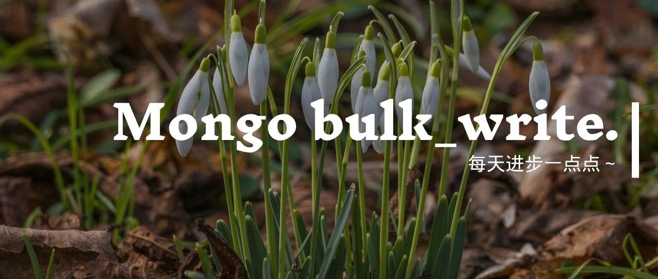 MongoDB中的批量Upsert与$addToSet的高效使用